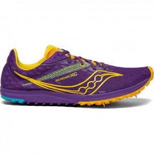 Atleticke Tretry Saucony Kilkenny XC9 Damske Nachový | SK-FXHASDZ