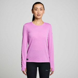 Tricko Saucony Stopwatch Graphic Long Sleeve Damske Nachový | SK-HXWKYAL