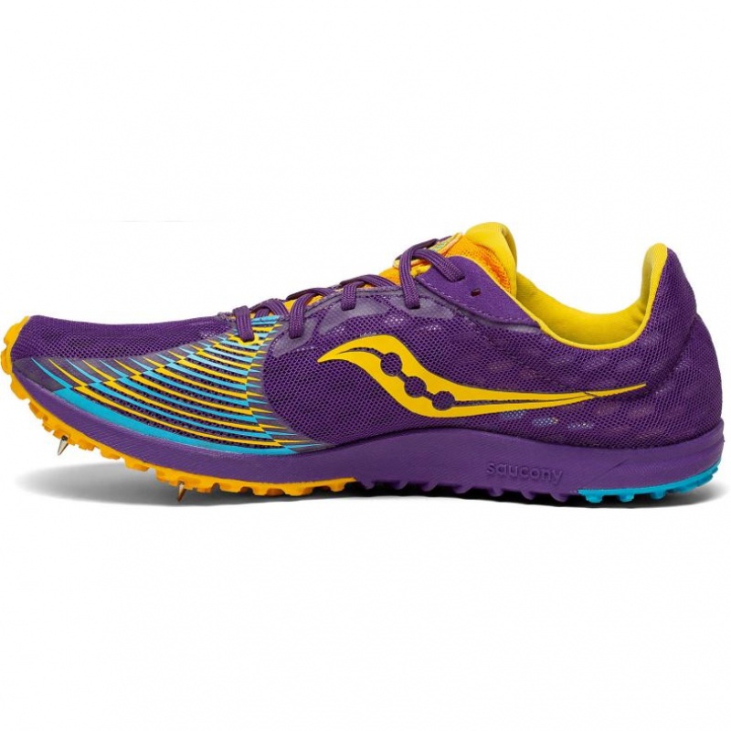 Atleticke Tretry Saucony Kilkenny XC9 Damske Nachový | SK-FXHASDZ