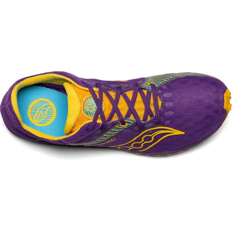 Atleticke Tretry Saucony Kilkenny XC9 Damske Nachový | SK-FXHASDZ