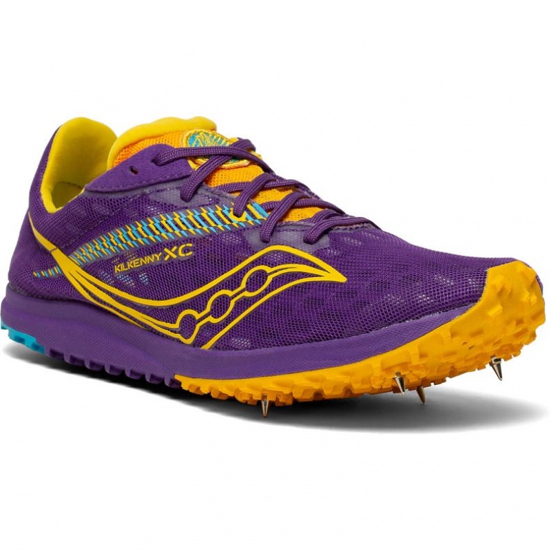 Atleticke Tretry Saucony Kilkenny XC9 Damske Nachový | SK-FXHASDZ