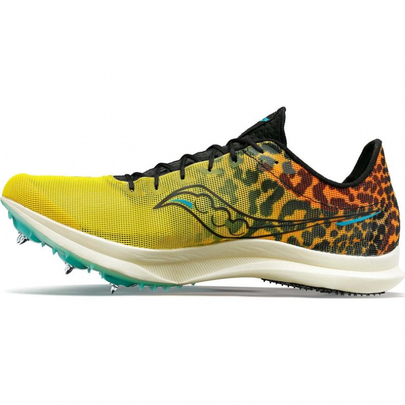 Tenisky Saucony Endorphin Cheetah Damske Viacfarebný | SK-UMASKDY